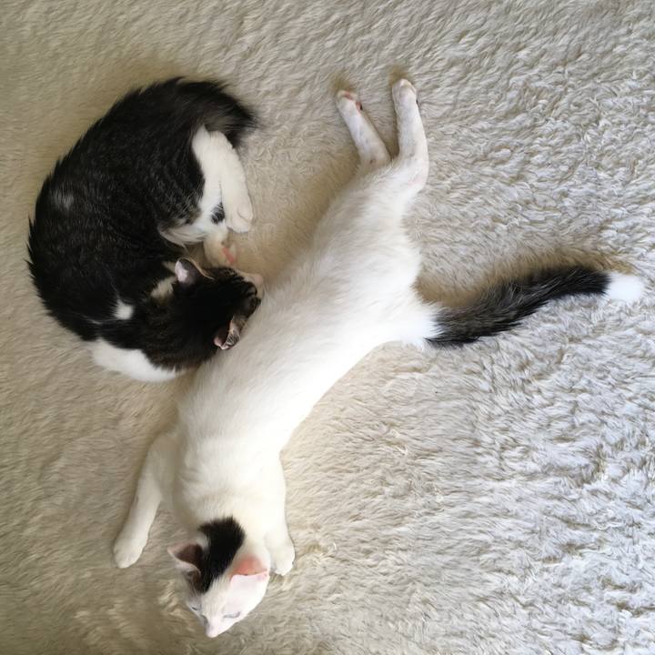 09061a02 0733 4c38 bf26 d5418369fb50 1665882851636