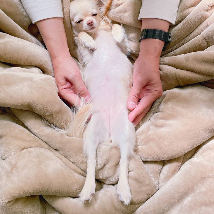 090631c0 8593 4314 81c6 2de596e98741 1620111430435