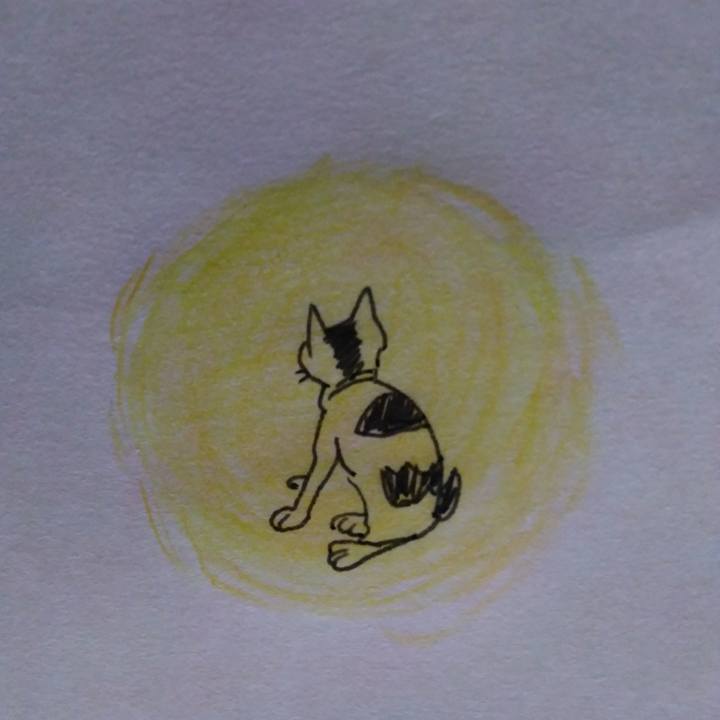 0906356d 1886 4344 9d43 ddaabf62bc9a 1535638289526