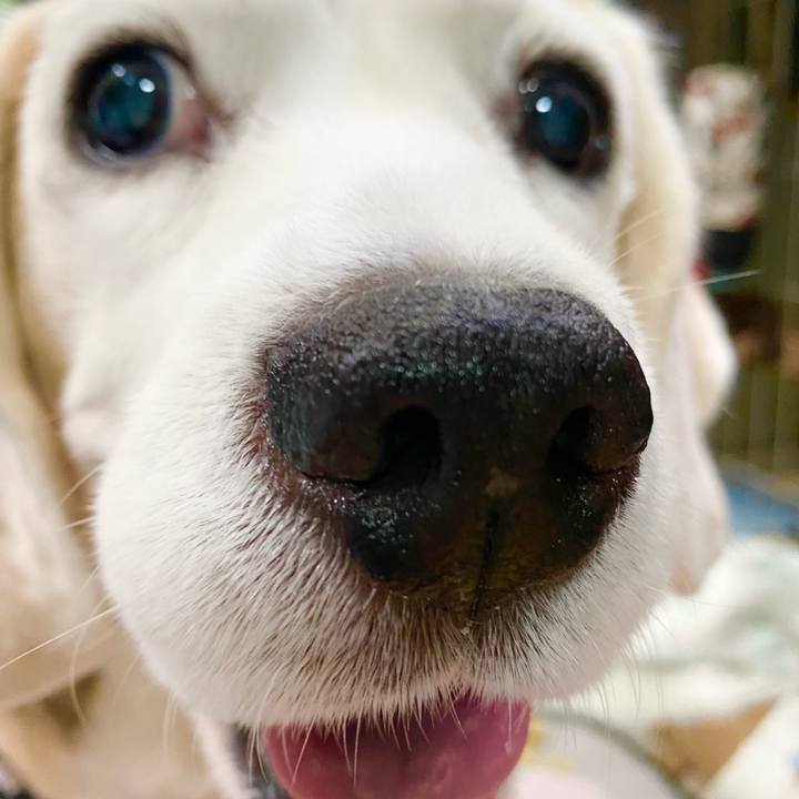 090647fb b49a 4bff 84a2 4113112e0e8f 1651550174239