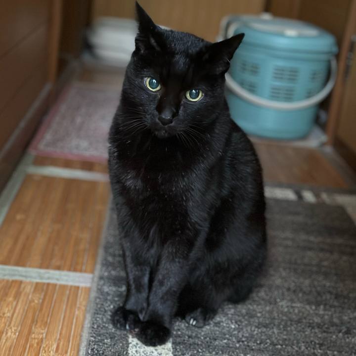 09064f47 e72e 409b b2e6 b8a9ce2cc187 1667269124824