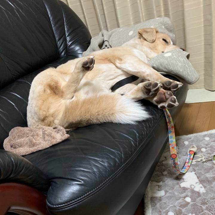 090658a3 4b67 4cc6 ac48 825c25376b13 1547133155372