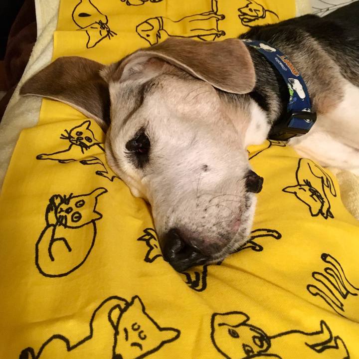 09066545 1554 4e8e a508 a2db2b0d64f6 1763113294254