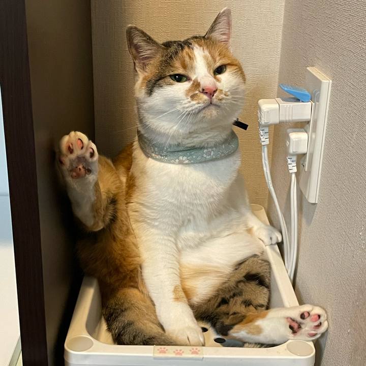 090668e6 ace9 4fc5 9599 c8afcbccd2d0 1673534638958