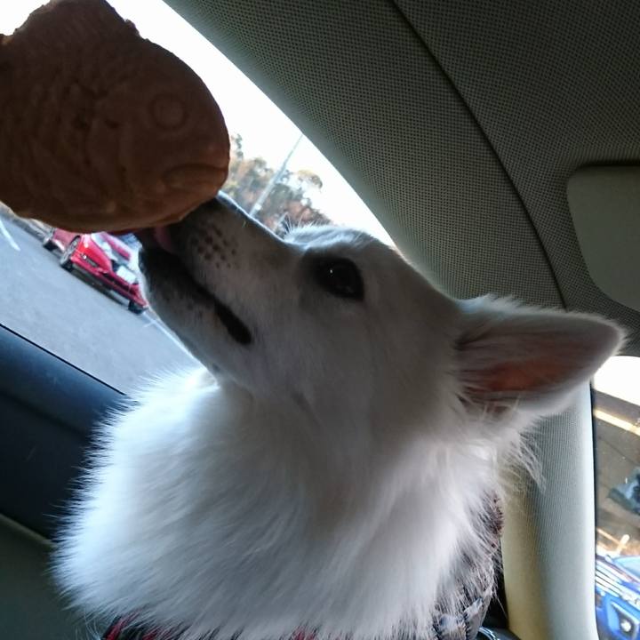 09066aa6 25bf 4a7e aa11 ff8a5b08bf4e 1515918747013