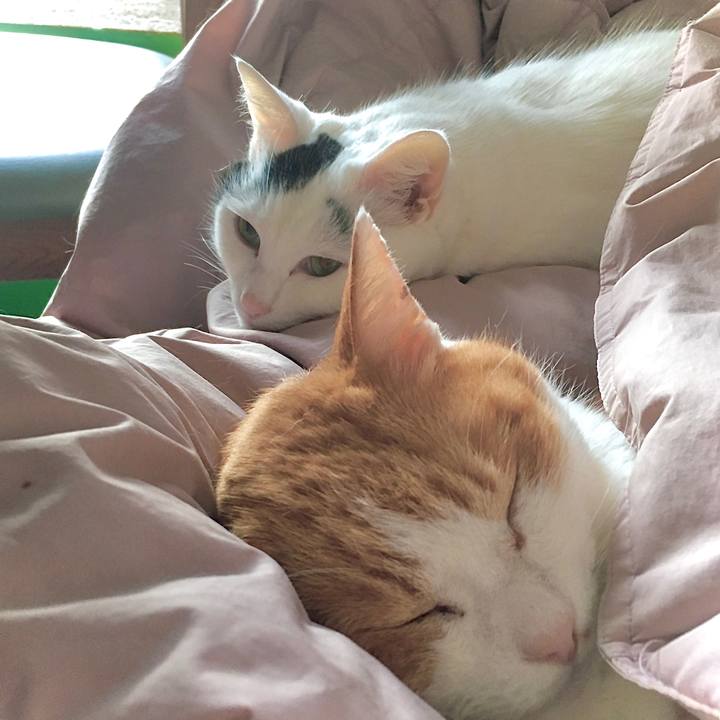 0906a36a ef4d 4c1d ab5b 604fbca32b4f 1671327308270