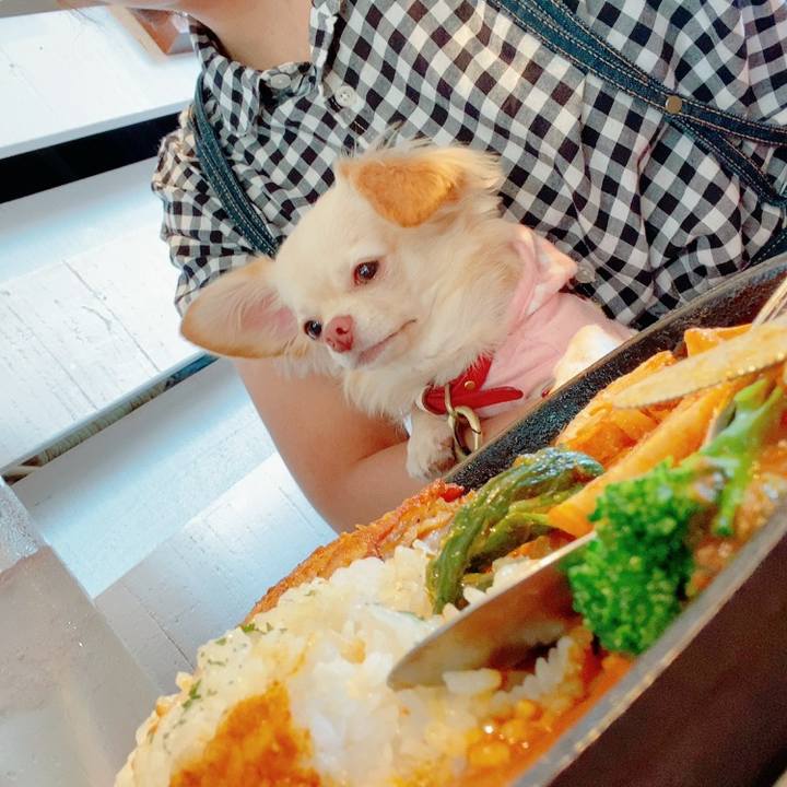 0906a777 8203 4871 b191 bf01a2575c24 1634019939448