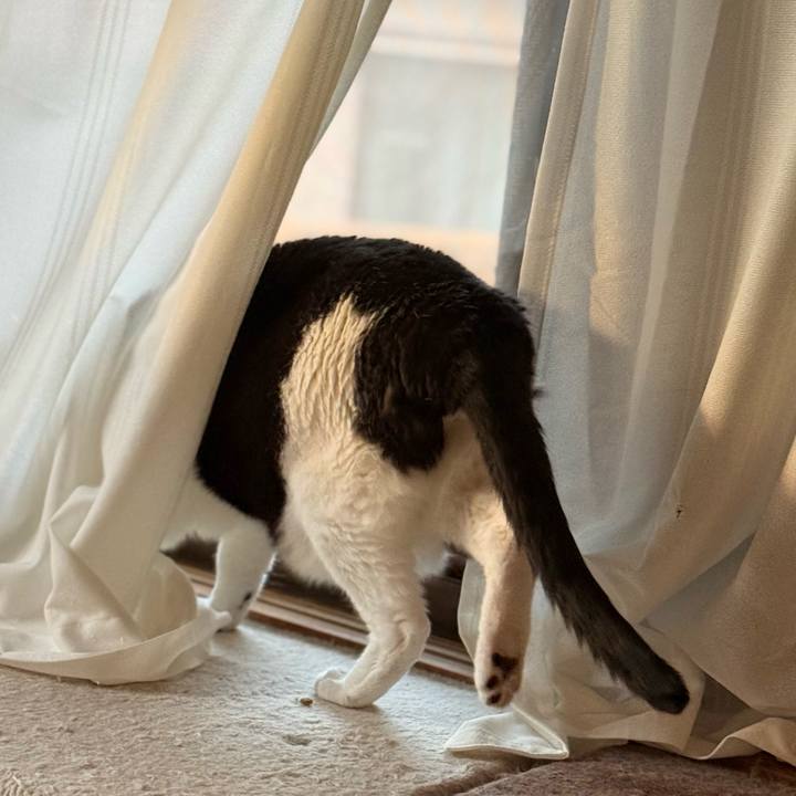 0906c042 c878 47bb 8c26 da5fe7f14884 1764557055994