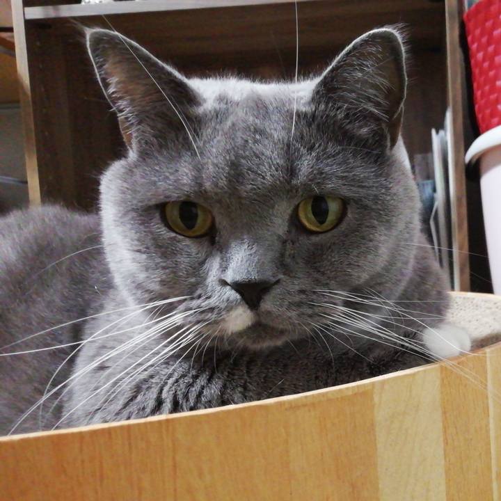 0906d9b2 c810 4806 b3c2 9541aab32a1b 1662892071598