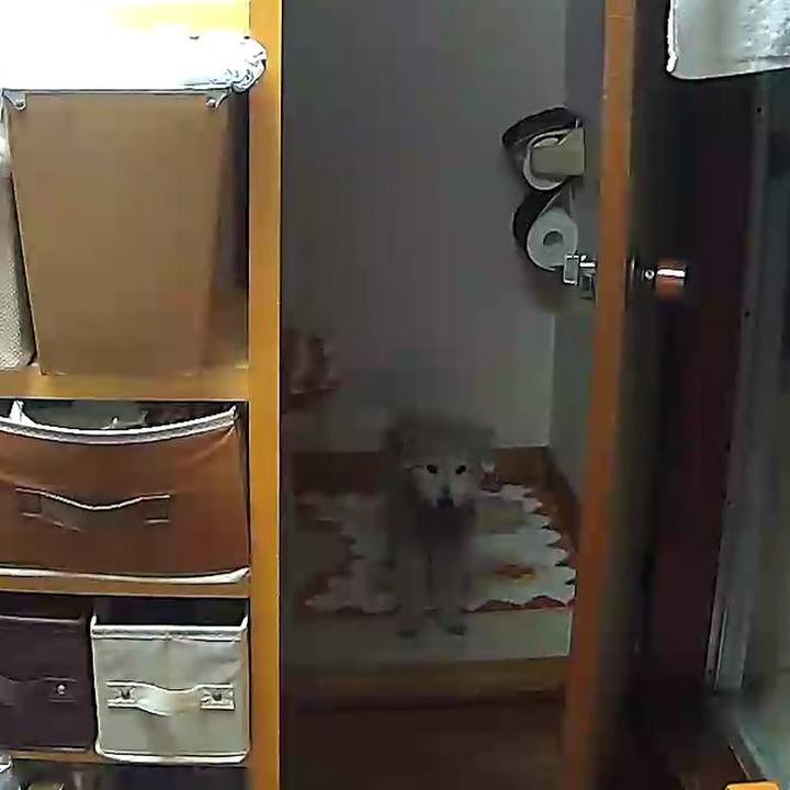 0906e387 e106 4c72 9a83 d0f251a13100 1618998343798