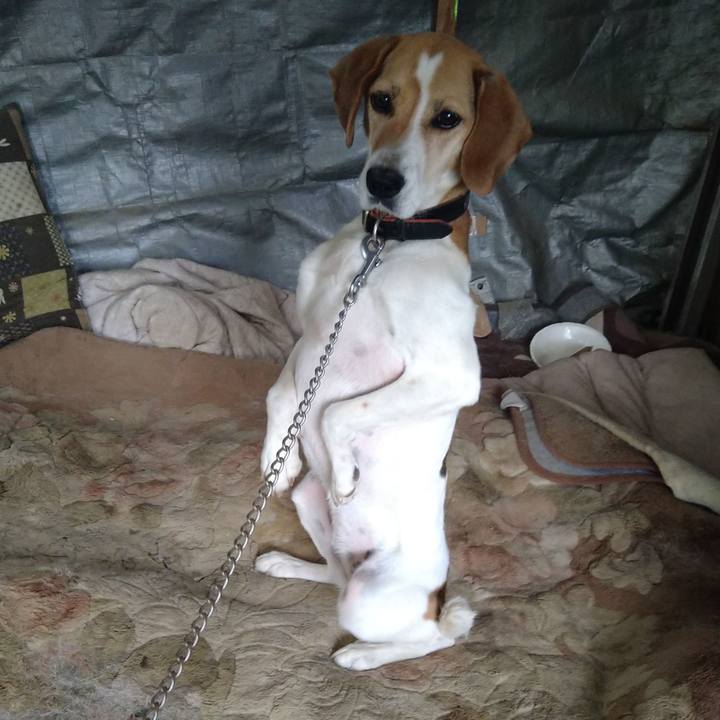 09070ca9 335c 4191 ac71 9da8012ef5f1 1654520472297