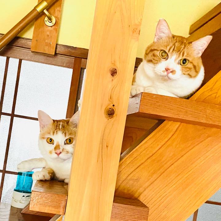 09071a48 5594 4b58 8a89 cbdcd593a324 1691312248625