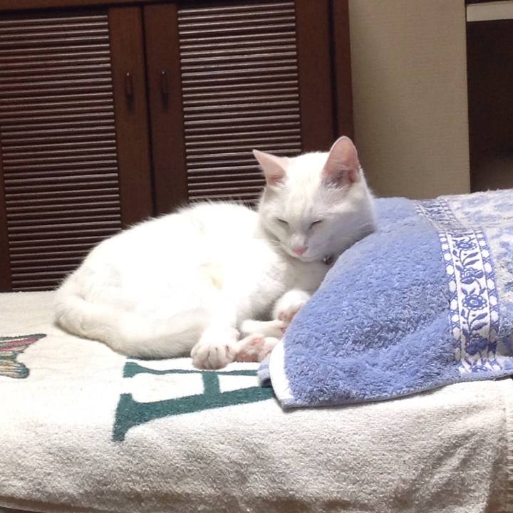 09071fad dc68 44a9 a67f 87bfdfbd9ba7 1628076454099