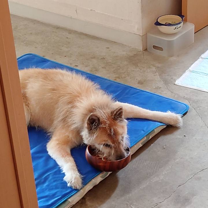 09072a49 e9cb 4bd7 a534 68a82d51bf7a 1633678349163