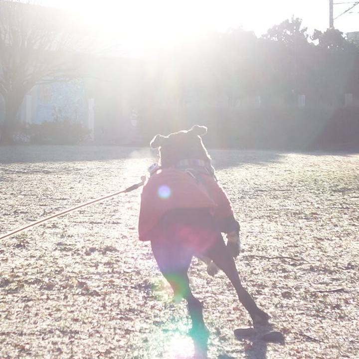 09075c4d 48f6 4d26 8b85 450f59694521 1641000489924