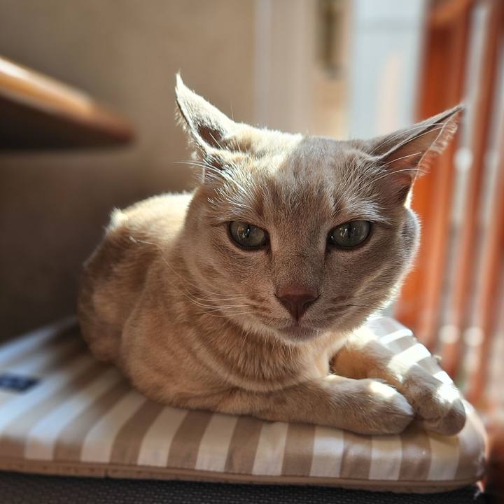 0907620d 5c9c 44bc a4a8 06784ae9a85c 1715407902897