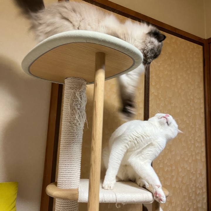 09076a10 28a8 4592 a1af 1c25c1043ca4 1748169959003