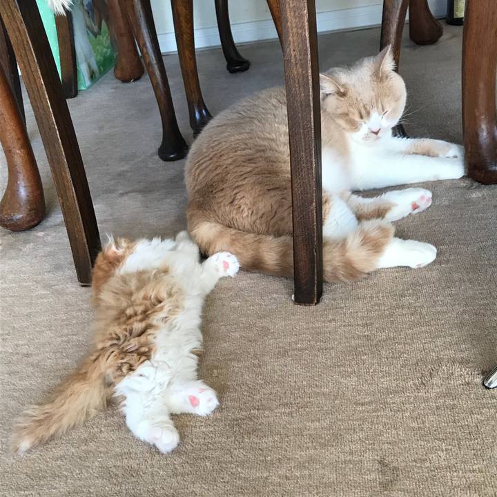 09076a2f bed4 4d7a ae52 f176cf14b9ec 1515726584444