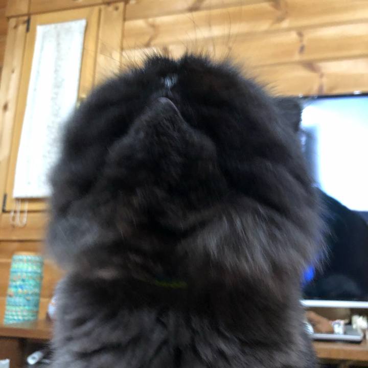 09077d24 9104 451c ba48 c940f069851c 1630154248059