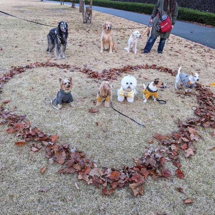 0907bcfd 6cf9 4396 8d4e 2aaeb120545f 1637231523164