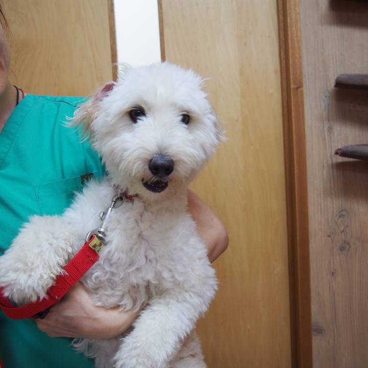 0907dc88 65ee 4127 be5a 11979532910b 1532745296735