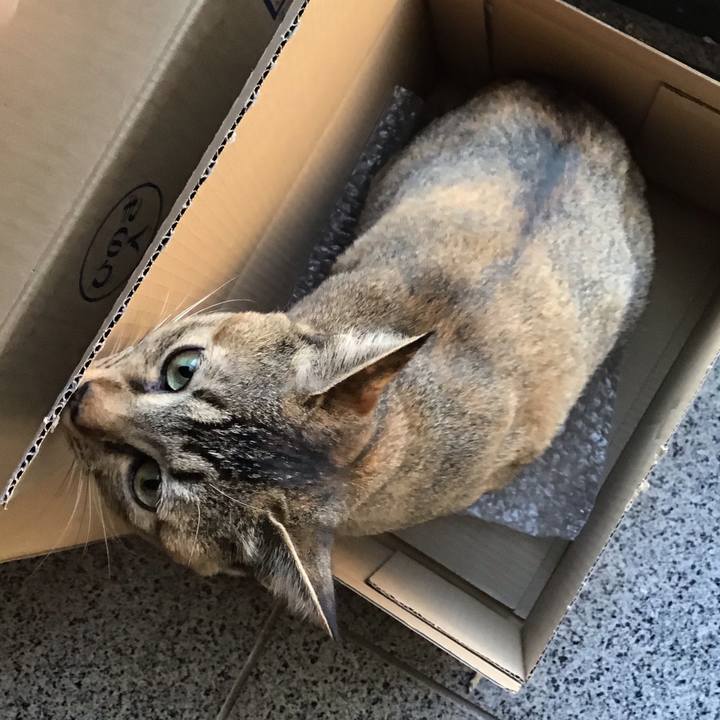 0907ef6b 9ce1 41c8 a461 c74740482274 1580870045585