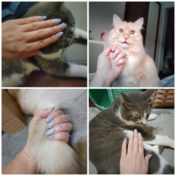 090816cf e7eb 4c68 8140 871a2b50fc1c 1687782887824