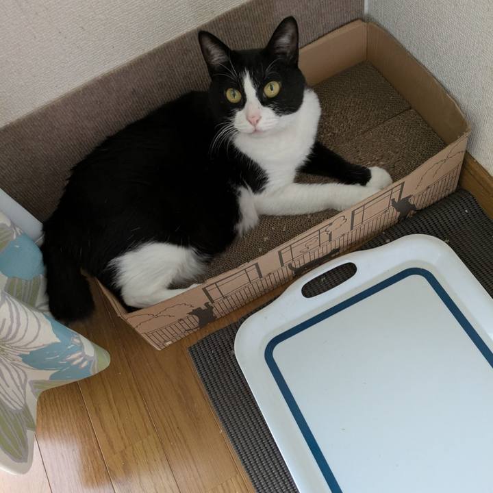 09082a28 d375 4031 8fec eb82bab4abee 1756706363241