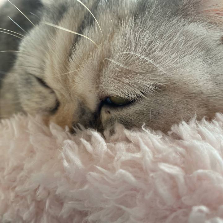 09084f8c e822 4571 af25 799a7a01cf9d 1739663715498