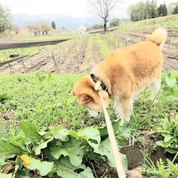 09087771 6546 4ee0 b3f6 cb8b560562bd 1651031368120