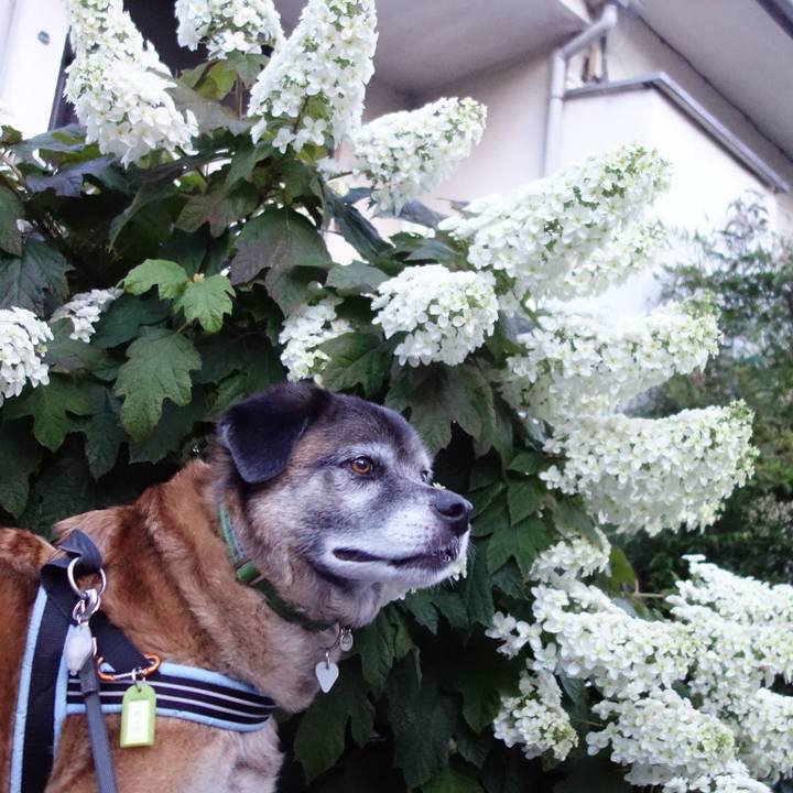 090881c5 2c34 4787 9ed4 f3bc9165893b 1716597417810