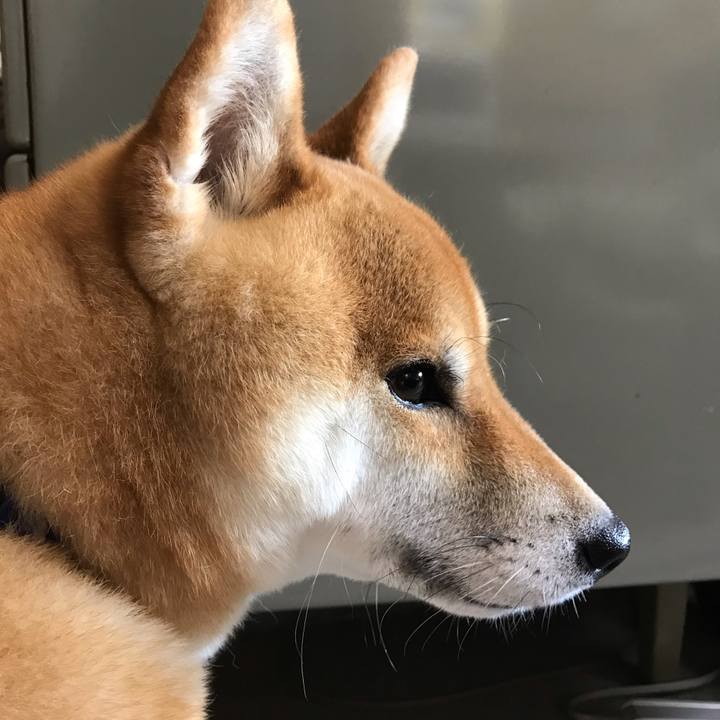 0908939c 4e28 4be3 9d8a ab543db408a2 1564124060186