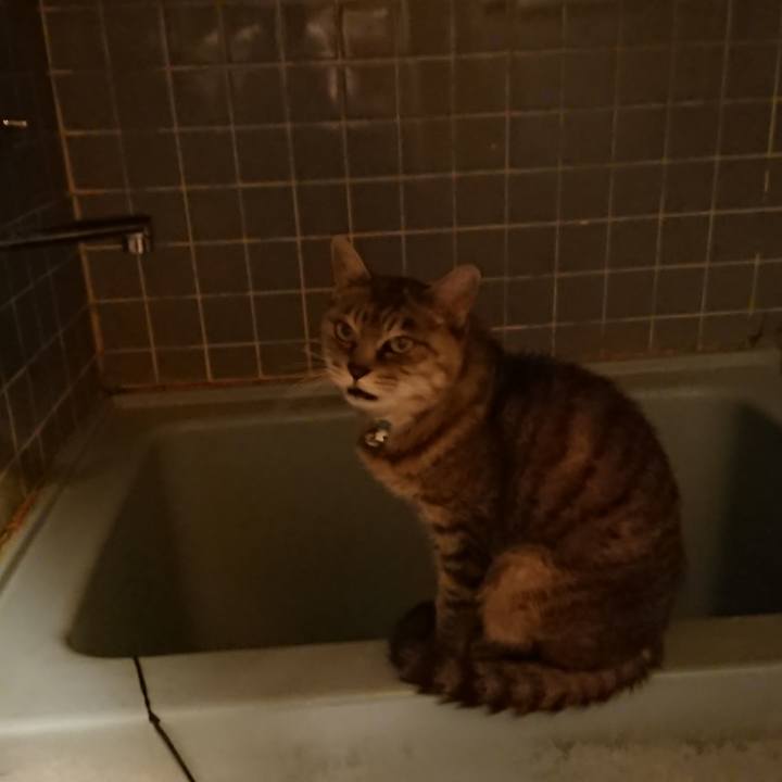 0908b2ea 6ec2 40b5 bcd0 9a7ce84ace8e 1570787020268