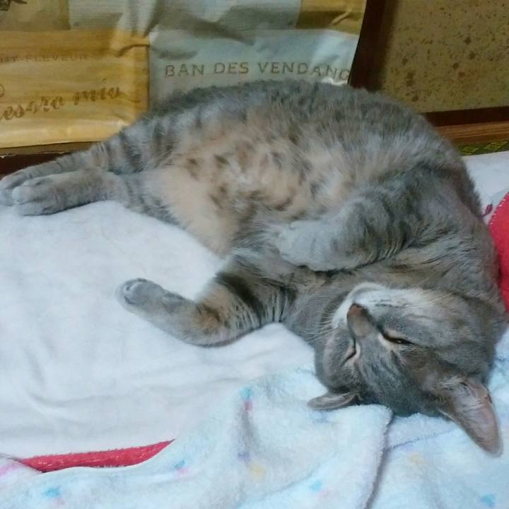 0908cb55 1218 4791 872f 6616569b6477 1559740237913