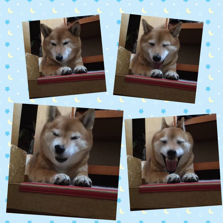 09090ef9 5e4c 481e b4de 792cfff9e241 1554454775563