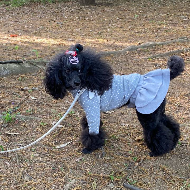 09093cfb ecbe 4652 86b9 a02be2faf725 1681205360986