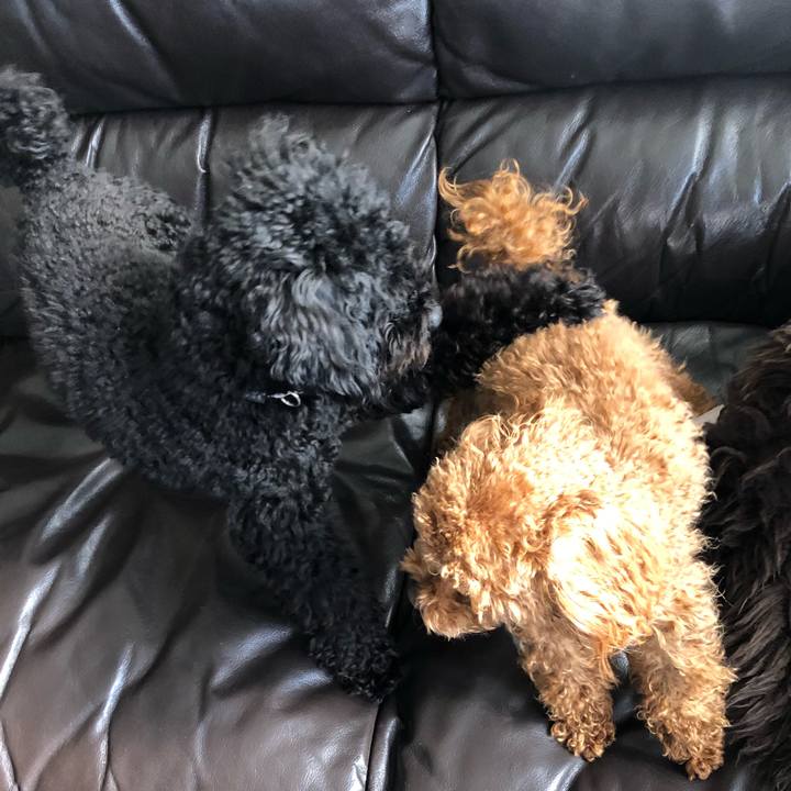 09094fd5 9e29 48ed addc 762f7675908c 1520124222975