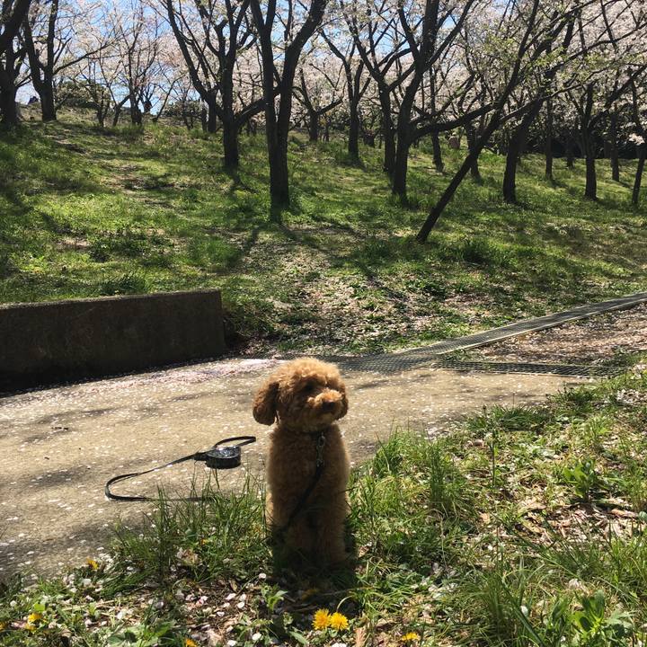 090981f4 18ef 4ac2 a89b eacafeed59af 1522882004871