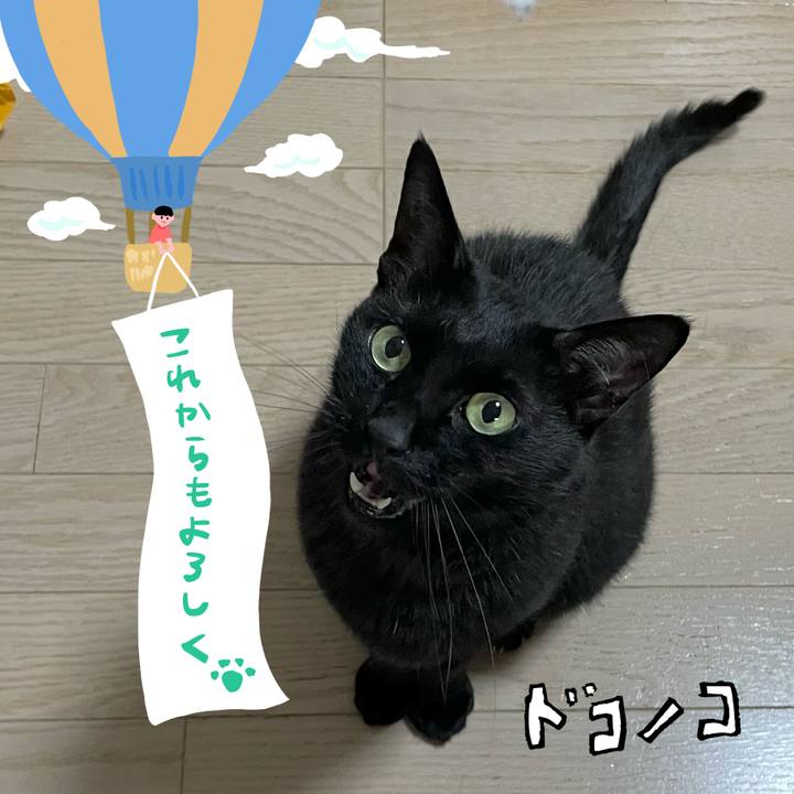 09098970 b1bf 4819 ad4c b98e0b24b24b 1685953817751