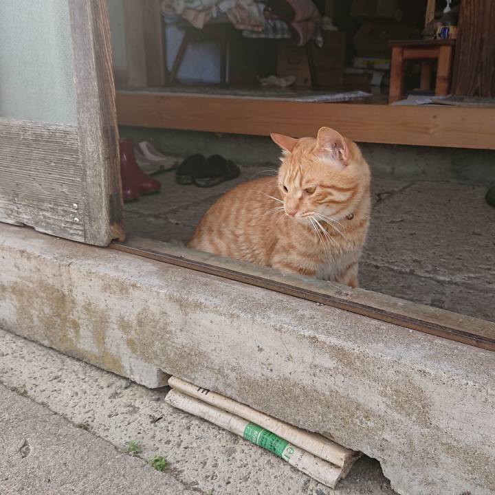 0909906e f3a1 4e05 8b52 e3d0e4042e37 1651829631759