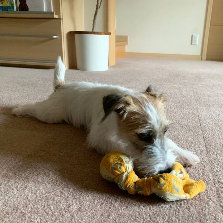 09099721 a6f1 4dd0 b5d9 60b1748bae08 1568611051030