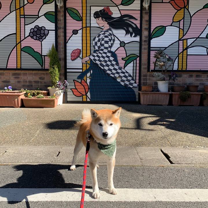 0909cb7e b2bf 451d 836e fc470e2d4cfd 1676880898835