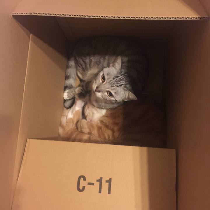 0909e123 81f4 4719 aa1e 0a084d6f02d9 1572346905146