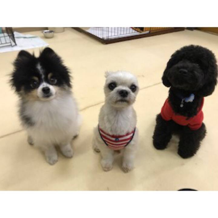 090a3194 5cdf 4bc6 a6be b3250706c9dc 1542018899275