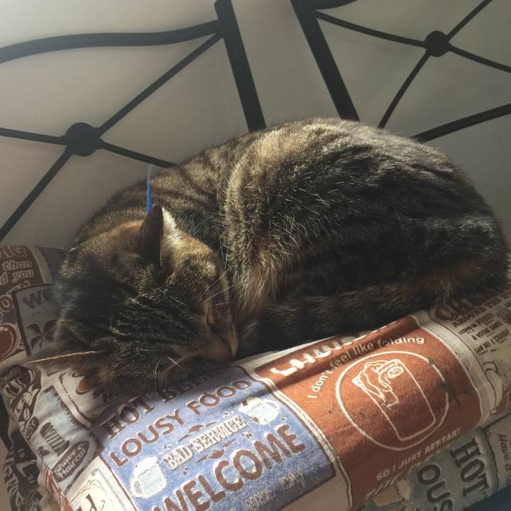 090a413e ef5a 4064 abee ff0eb442775b 1557102708457