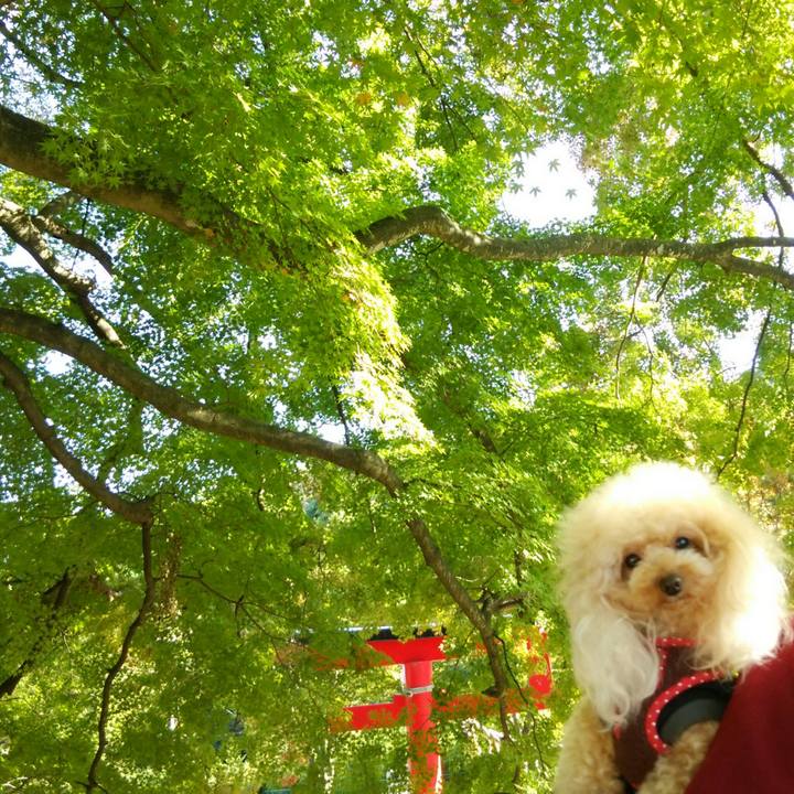 090a58b2 92b3 4ec3 b902 ccb1beb42a93 1540172739433