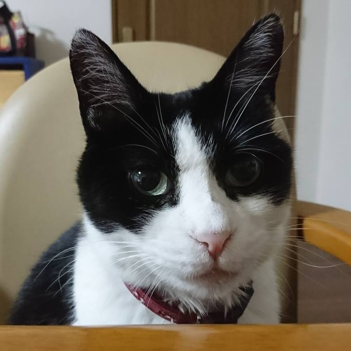 090a67d6 b530 4420 80ef 8c674a1d1ad8 1569580998945