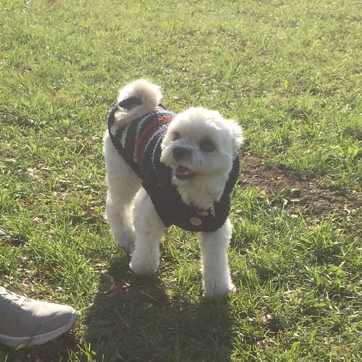 090a7e91 e783 47ca a85c 612db04744be 1513170328175