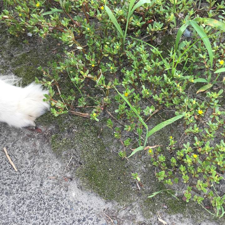 090aa2a7 3416 4b4f a35a c47f87d7972b 1564189659082