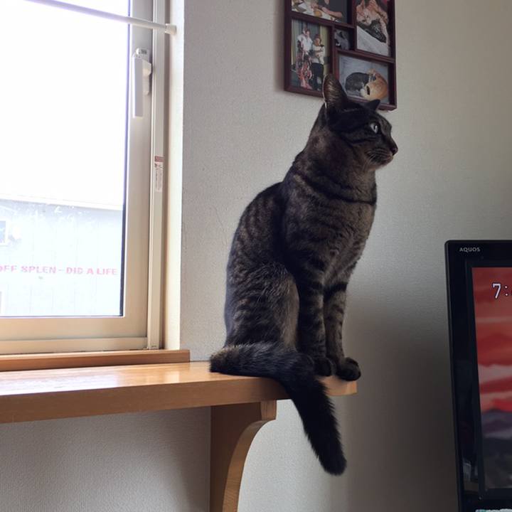 090b01c7 9093 402f 8327 d7085c9858b0 1558306156004